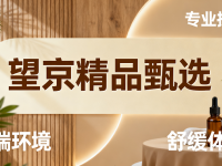 望京精品甄选